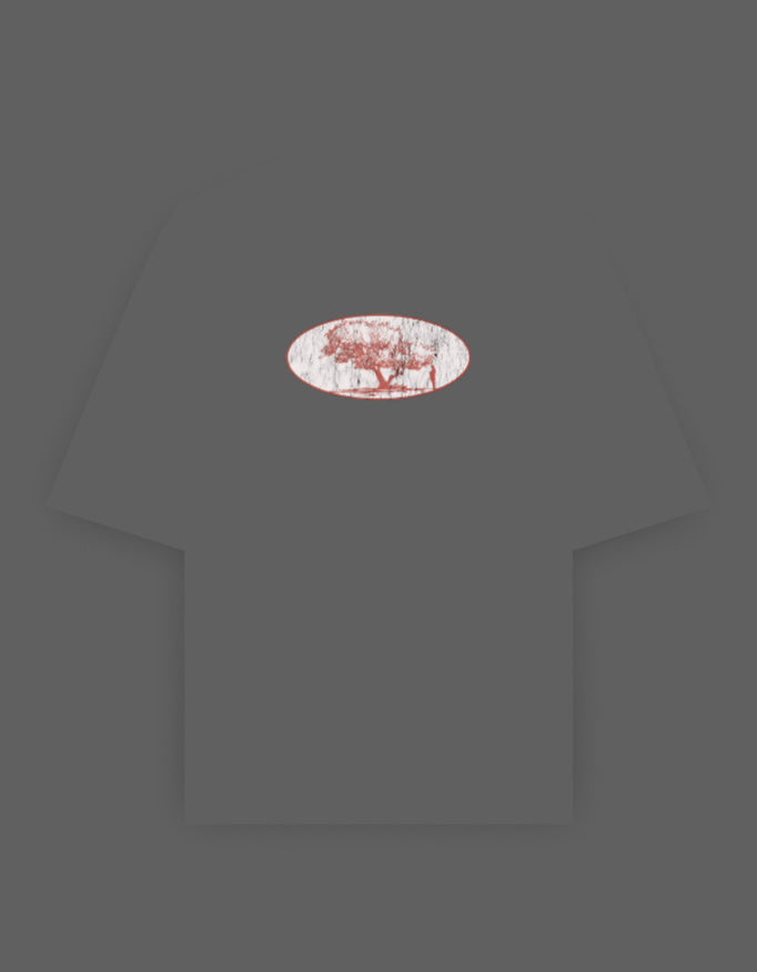 Front_1_c_61.jpg